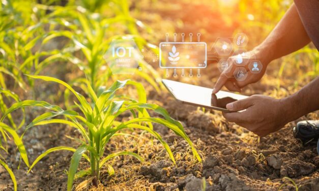 Les solutions de financement pour les technologies agricoles connectées